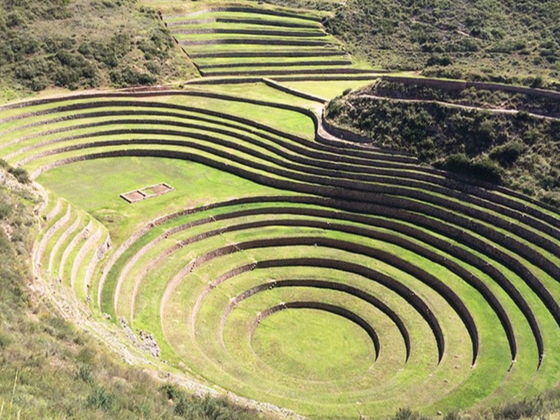 moray1