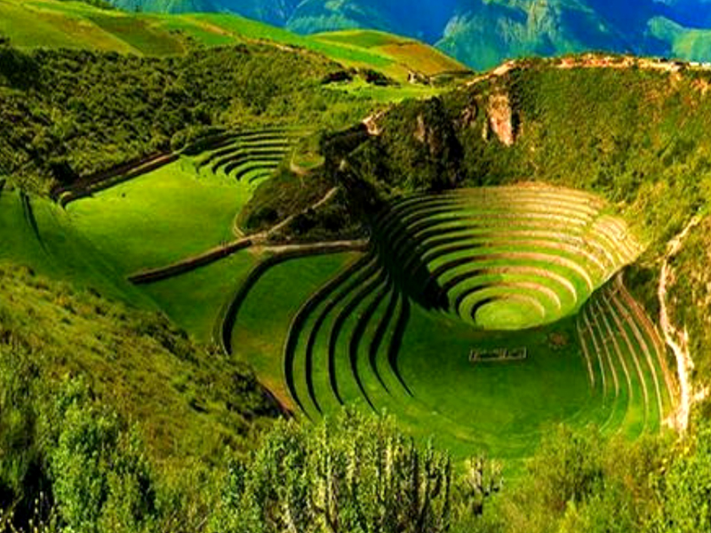 moray2